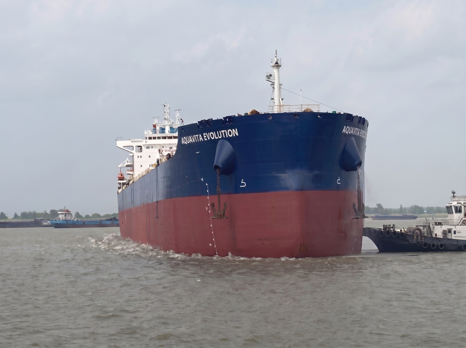 Aquavita delivered
