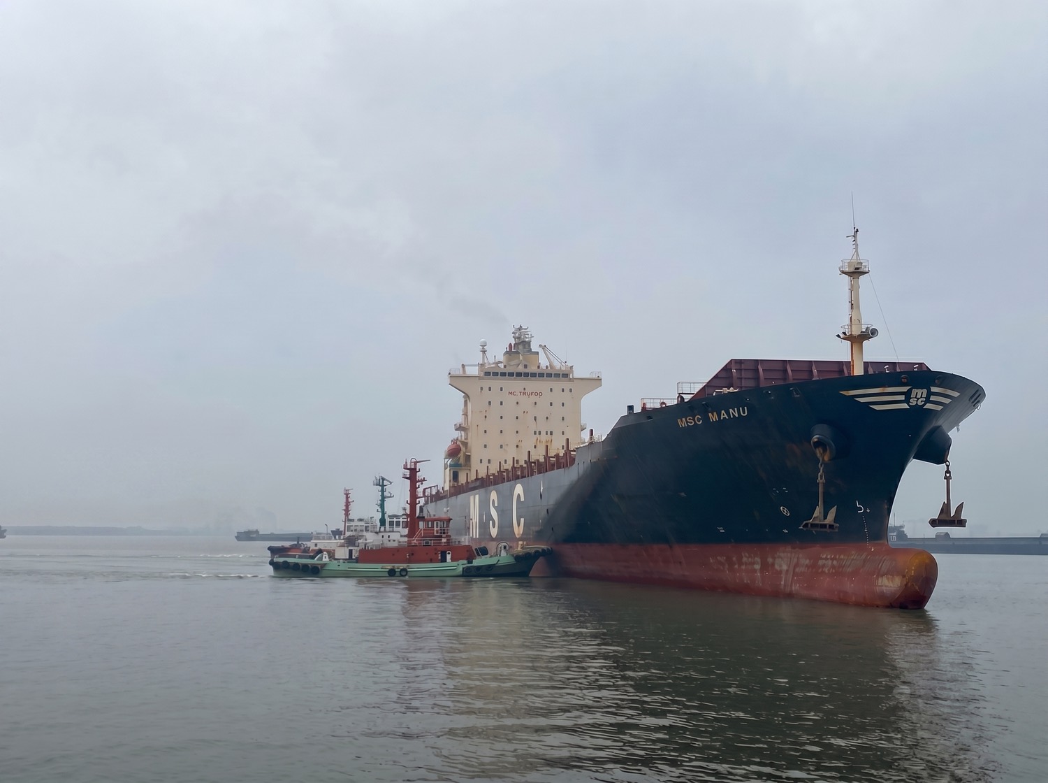 MSC Manu in the yard